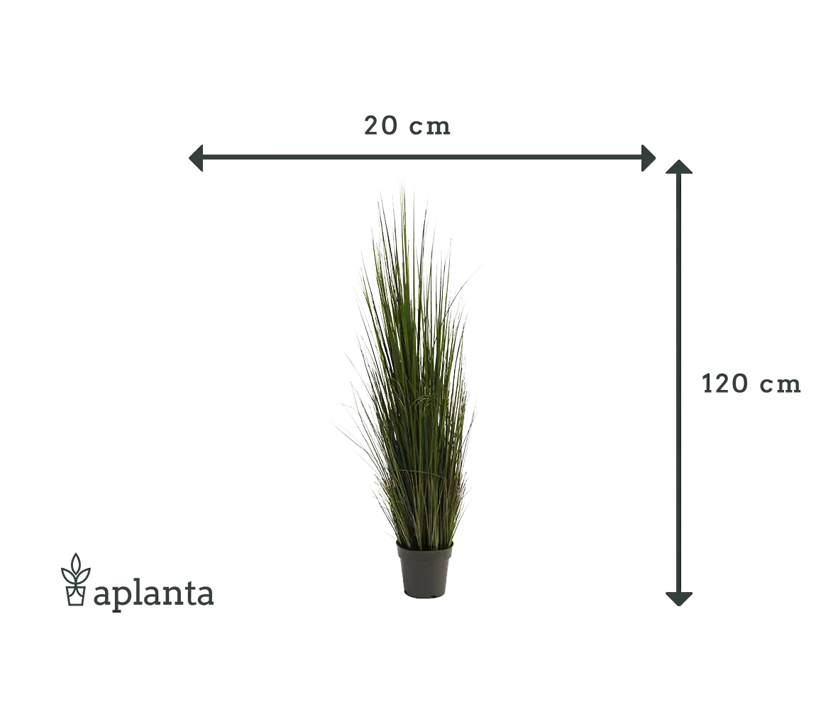 Künstliches Gras - Hanno | 120 cm