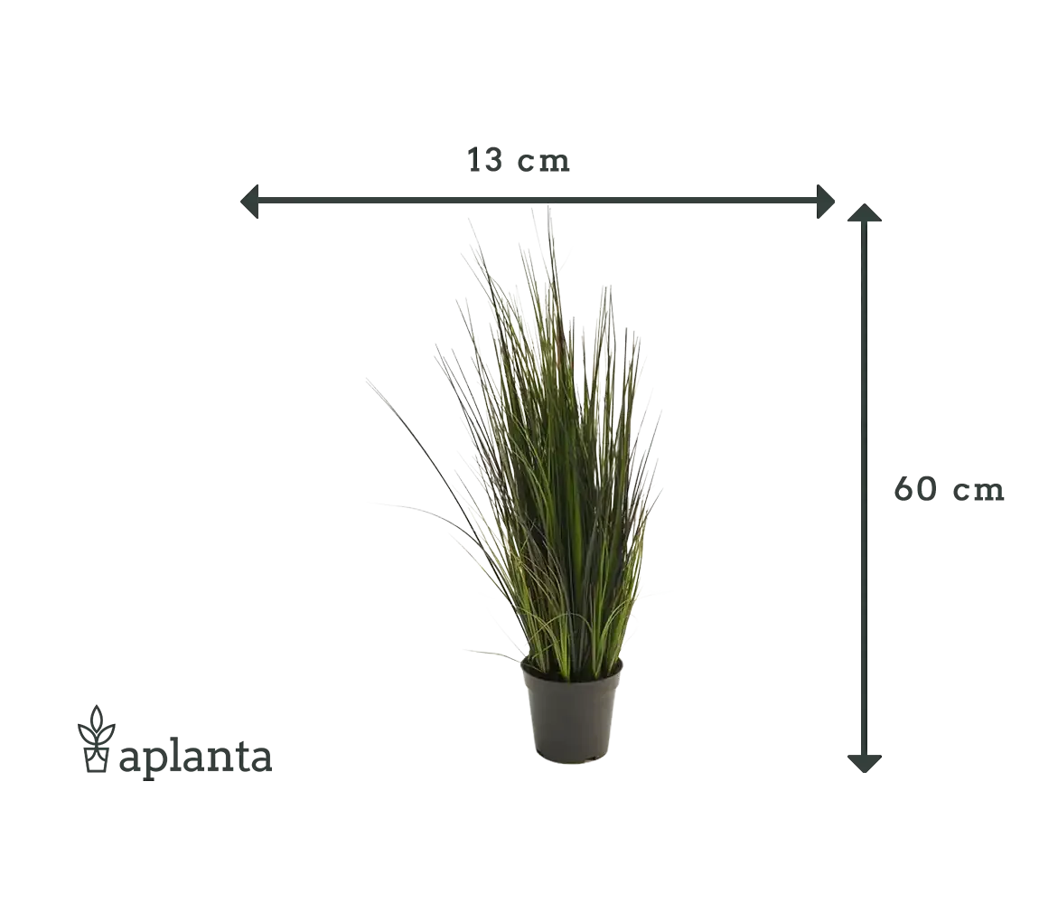 Künstliches Gras - Hanno | 60 cm