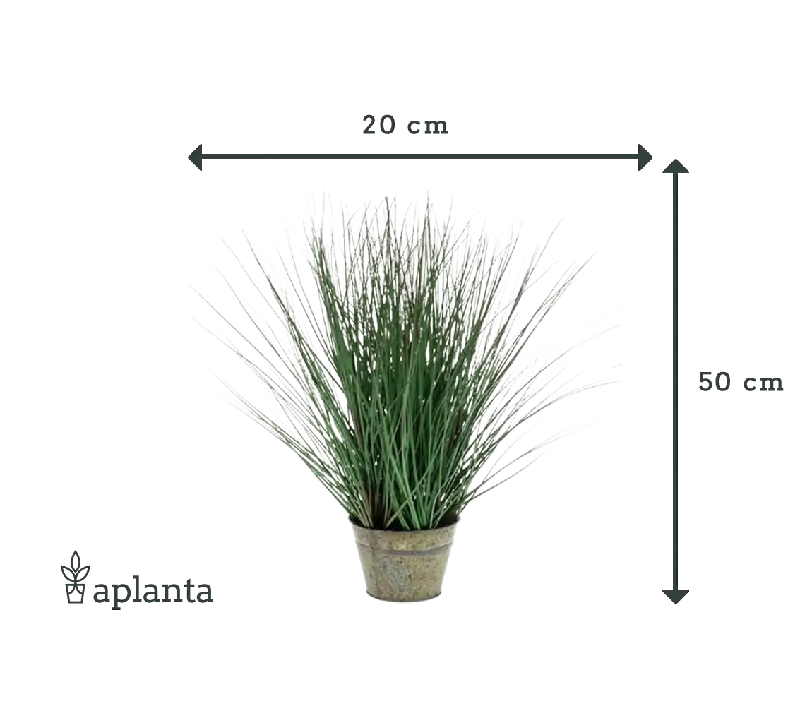 Künstliches Gras - Irene | 50 cm