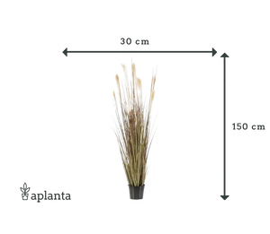 Künstliches Pampasgras - Franziska | 150 cm