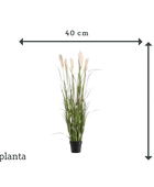 Künstliches Pampasgras - Luis | 160 cm