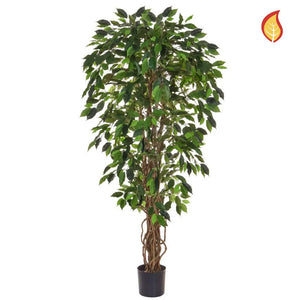 Künstlicher Ficus - Norbert | 150 cm