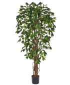 Künstlicher Ficus - Norbert | 150 cm