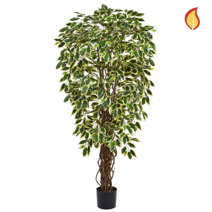 Künstlicher Ficus - Silke, 150 cm, Kunstpflanze von aplanta, feuerhemmend, B1-zertifiziert, in Grün, für drinnen