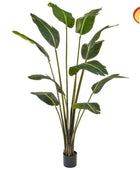 Künstliche Strelitizia - Patrick | 180 cm