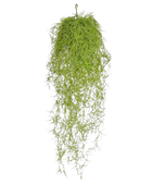 Künstliche Tillandsia - Erwin | 75 cm