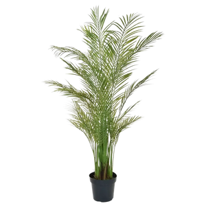Kunst Areca palm - Amelie | 180 cm