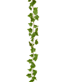 Künstliche Efeu Girlande - Marlies | 220 cm