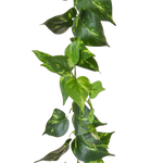 Künstliche Pothos Girlande - Christian | 220 cm