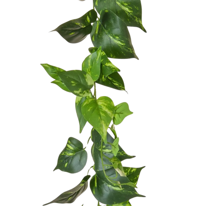 Künstliche Pothos Girlande - Christian | 220 cm