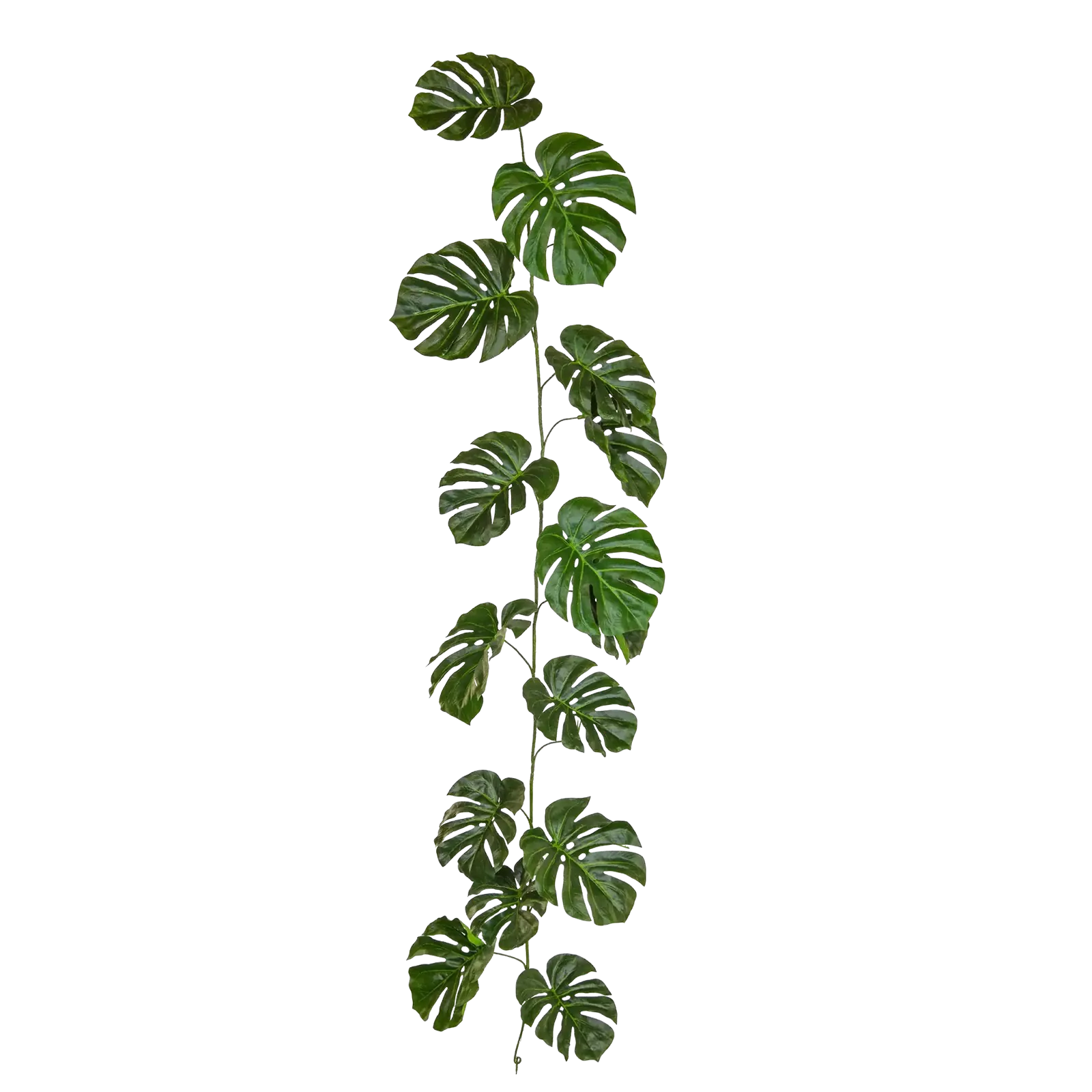Künstliche Monstera Girlande - Hugo | 180 cm
