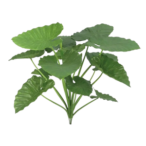 Künstliche Alocasia - Felix | 84 cm