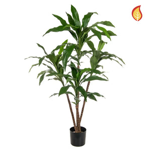 Künstliche Dracaena - Michel | 60 cm
