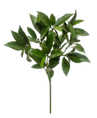 Künstliche Lorbeerzweig - Eugen | 51 cm