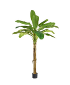 Künstlicher Bananenbaum - Jonas | 180 cm