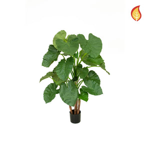 Künstliche Alocasia - Rolf | 120 cm