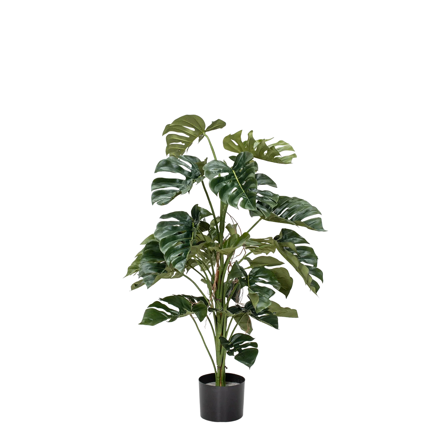 Künstliche Monstera - Sura | 120 cm