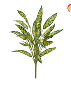 Künstliche Aglaonema - Eva | 65 cm