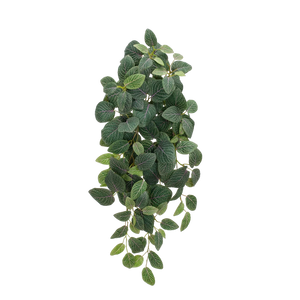 Künstliche Hänge-Fittonia - Tamara | 70 cm