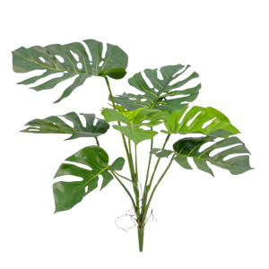 Künstliche Monstera - Lia | 75 cm