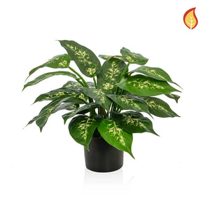 Künstliche Dieffenbachia - Julius | 37 cm