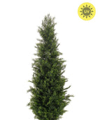 Kunst groene ceder - Nathalie | 120 cm