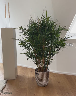 Künstlicher Bambus in Wohnzimmer - hochwertig
