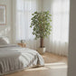 Künstlicher Ficus – Ravian | 180 cm