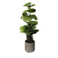 Kunst Philodendron - Phoebe | 80 cm