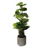Kunst Philodendron - Phoebe | 80 cm