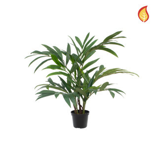 Künstliche Palour Palme - Perlok | 45 cm