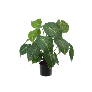 Künstliche Syngonium - Laika | 58 cm