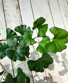 Künstlicher Gingko-Zweig - Gabriele | 60 cm | Kunstpflanze von aplanta