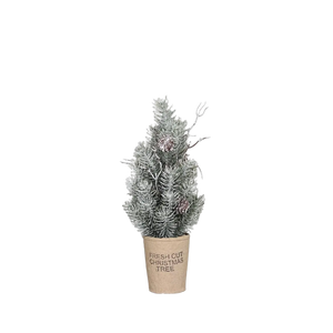 Künstlicher Tannenbaum - Rachel auf transparentem Hintergrund mit echt wirkenden Kunstblättern in natürlicher Anordnung. Künstlicher Tannenbaum - Rachel hat die Farbe Natur und ist 30 cm hoch. | aplanta Kunstpflanzen