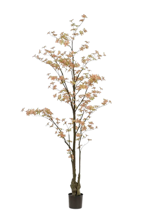 Künstlicher Tropaeolum Baum - Carmen auf transparentem Hintergrund mit echt wirkenden Kunstblättern in natürlicher Anordnung. Künstlicher Tropaeolum Baum - Carmen hat die Farbe Pfirsich und ist 210 cm hoch. | aplanta Kunstpflanzen