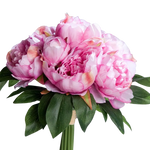 Künstliche Pfingstrose - Franzi auf transparentem Hintergrund mit echt wirkenden Kunstblättern in natürlicher Anordnung. Künstliche Pfingstrose - Franzi hat die Farbe rosa und ist 30 cm hoch. | aplanta Kunstpflanzen