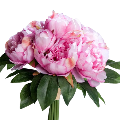 Künstliche Pfingstrose - Franzi auf transparentem Hintergrund mit echt wirkenden Kunstblättern in natürlicher Anordnung. Künstliche Pfingstrose - Franzi hat die Farbe rosa und ist 30 cm hoch. | aplanta Kunstpflanzen