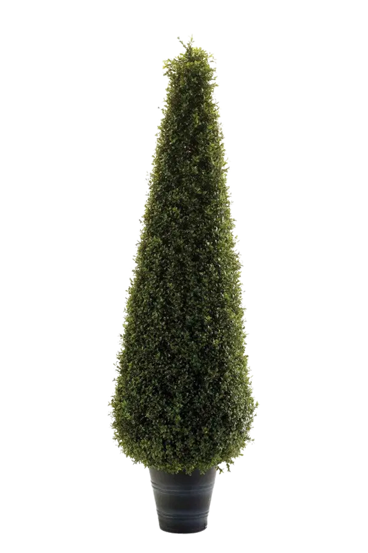 Künstliche Buchsbaumpyramide - Lucy auf transparentem Hintergrund mit echt wirkenden Kunstblättern. Diese Kunstpflanze gehört zur Gattung/Familie der "Buchsbäume" bzw. "Kunst-Buchsbäume".