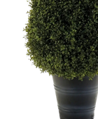 Künstliche Buchsbaumpyramide - Lucy | 135 cm auf transparentem Hintergrund, als Ausschnitt fotografiert, damit die Details der Kunstpflanze bzw. des Kunstbaums noch deutlicher zu erkennen sind.