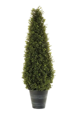 Künstliche Buchsbaumpyramide - Lucy auf transparentem Hintergrund mit echt wirkenden Kunstblättern. Diese Kunstpflanze gehört zur Gattung/Familie der "Buchsbäume" bzw. "Kunst-Buchsbäume".