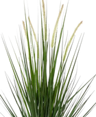 Künstlicher Fuchsschwanz - Hennes | 69 cm auf transparentem Hintergrund, als Ausschnitt fotografiert, damit die Details der Kunstpflanze bzw. des Kunstbaums noch deutlicher zu erkennen sind.