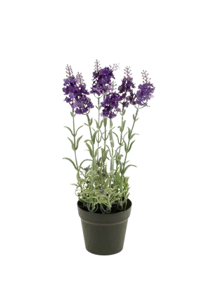 Künstlicher Lavendel - Lea auf transparentem Hintergrund mit echt wirkenden Kunstblättern. Diese Kunstpflanze gehört zur Gattung/Familie der "Lavendel" bzw. "Kunst-Lavendel".