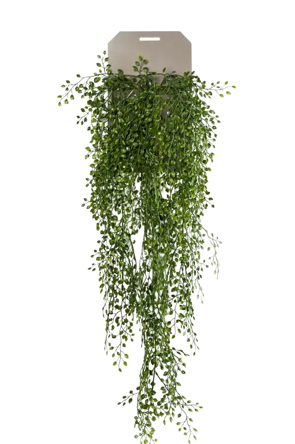 Künstlicher Hänge-Jasmin - Levin auf transparentem Hintergrund mit echt wirkenden Kunstblättern. Diese Kunstpflanze gehört zur Gattung/Familie der "Jasmin" bzw. "Kunst-Jasmin".