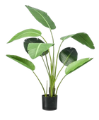 Künstliche Strelitzia - Carl auf transparentem Hintergrund mit echt wirkenden Kunstblättern. Diese Kunstpflanze gehört zur Gattung/Familie der 