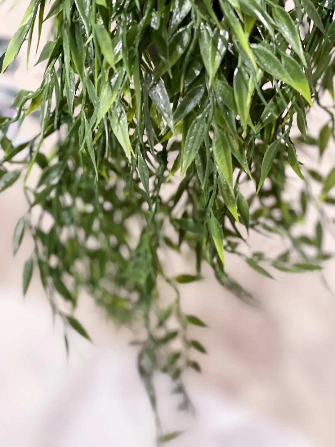 Künstlicher Hänge-Bambus - Kiana | 50 cm | Kunstpflanze von aplanta