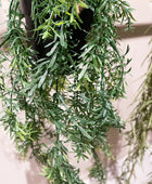 Künstlicher Hänge-Zierspargel - Kilian | 50 cm | Kunstpflanze von aplanta