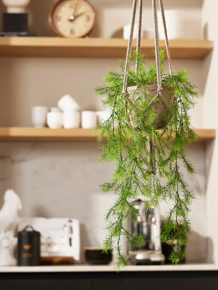 Kunst hangende asperges - Klaas | 65 cm