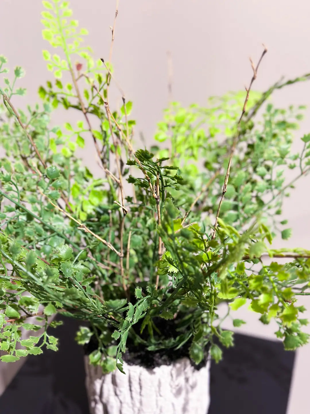 Künstlicher Pfauenrad-Farn - Euphelia | 30 cm | Kunstpflanze von aplanta