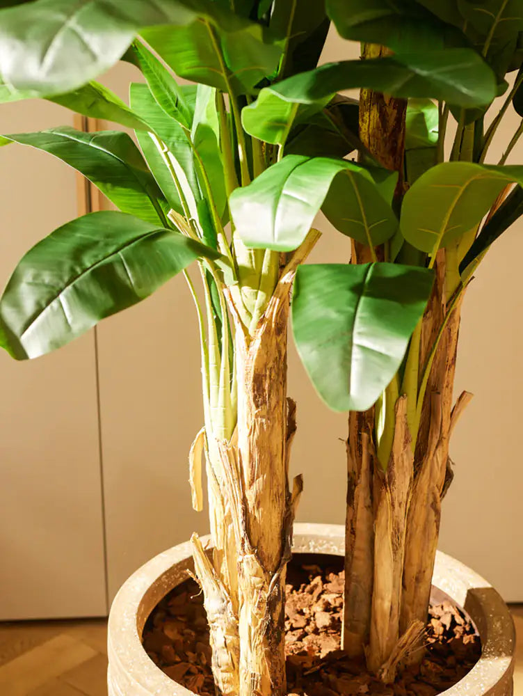 Kunst bananenboom - Can | 210 cm