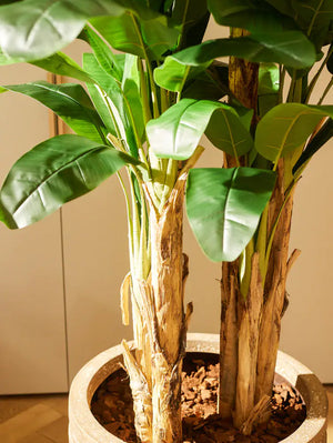 Kunst bananenboom - can | 140 cm